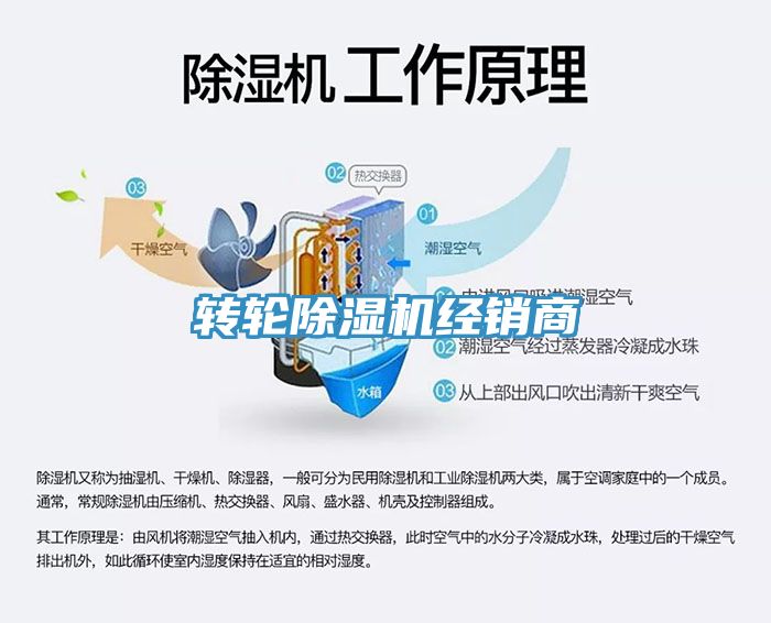 转轮91免费网站在线观看经销商