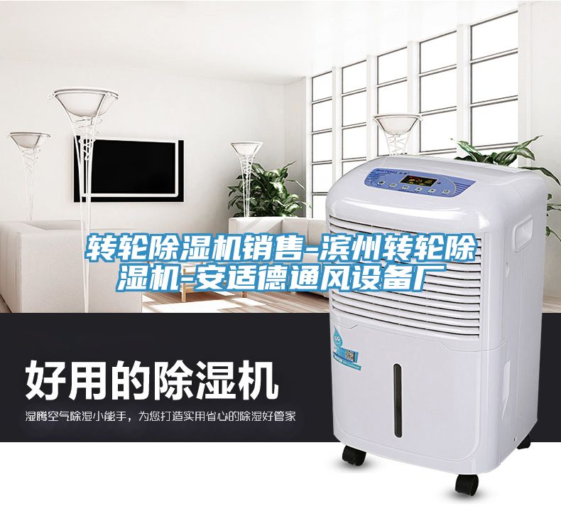 转轮91免费网站在线观看销售-滨州转轮91免费网站在线观看-安适德通风设备厂