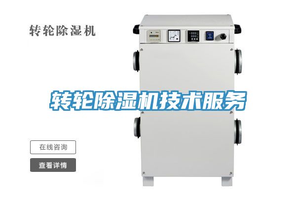 转轮91免费网站在线观看技术服务