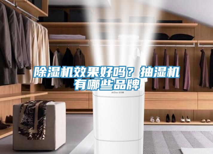 91免费网站在线观看效果好吗？抽湿机有哪些品牌