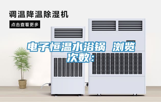 电子恒温水浴锅　　浏览次数：