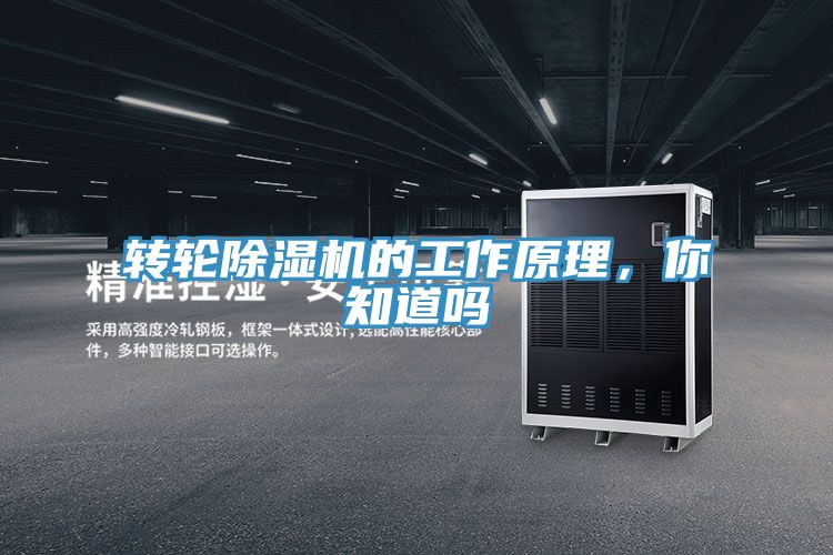转轮91免费网站在线观看的工作原理，你知道吗