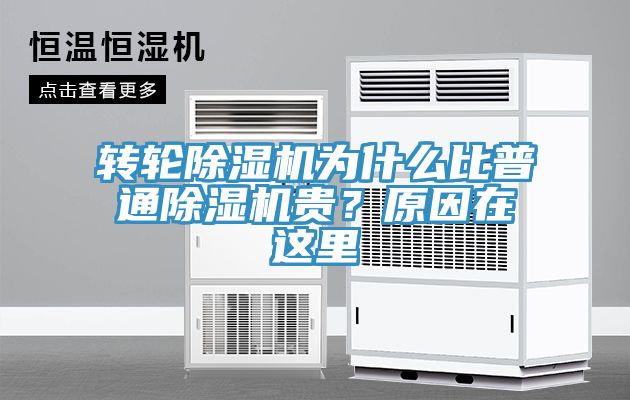 转轮91免费网站在线观看为什么比普通91免费网站在线观看贵？原因在这里