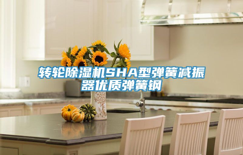 转轮91免费网站在线观看SHA型弹簧减振器优质弹簧钢