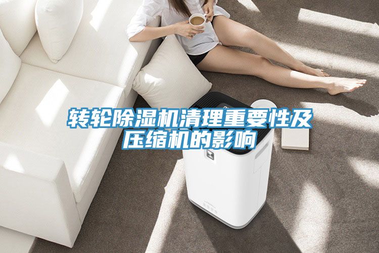 转轮91免费网站在线观看清理重要性及压缩机的影响