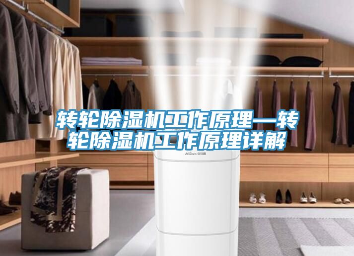 转轮91免费网站在线观看工作原理—转轮91免费网站在线观看工作原理详解