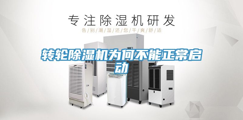 转轮91免费网站在线观看为何不能正常启动
