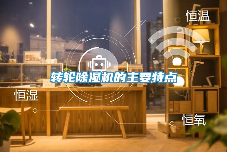 转轮91免费网站在线观看的主要特点