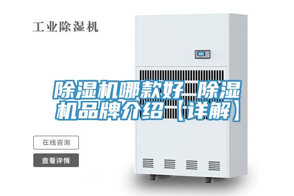 91免费网站在线观看哪款好 91免费网站在线观看品牌介绍【详解】