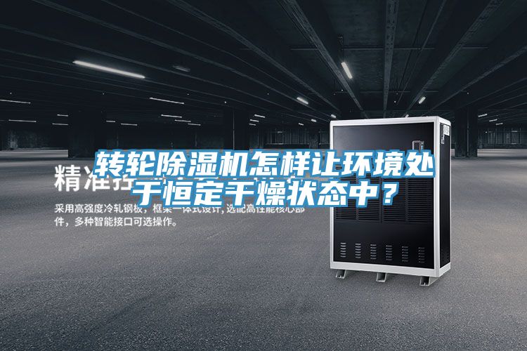 转轮91免费网站在线观看怎样让环境处于恒定干燥状态中？