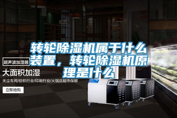 转轮91免费网站在线观看属于什么装置，转轮91免费网站在线观看原理是什么