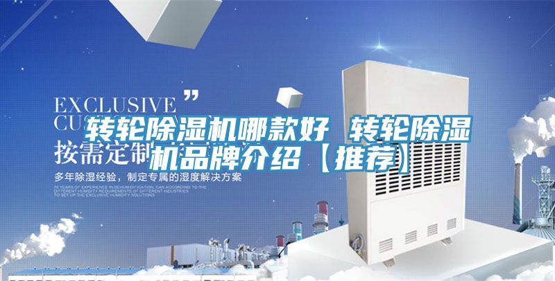 转轮91免费网站在线观看哪款好 转轮91免费网站在线观看品牌介绍【推荐】