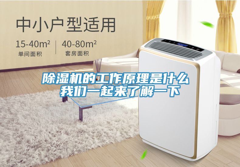 91免费网站在线观看的工作原理是什么 91免费看黄片一起来了解一下