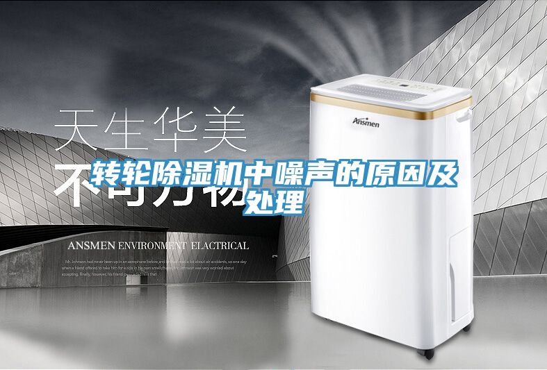 转轮91免费网站在线观看中噪声的原因及处理