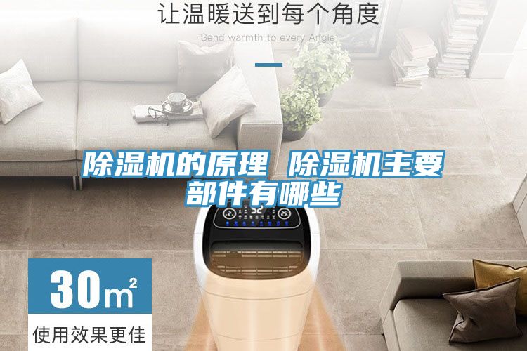91免费网站在线观看的原理 91免费网站在线观看主要部件有哪些