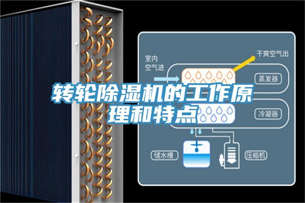 转轮91免费网站在线观看的工作原理和特点