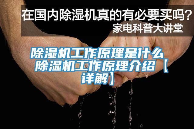 91免费网站在线观看工作原理是什么 91免费网站在线观看工作原理介绍【详解】