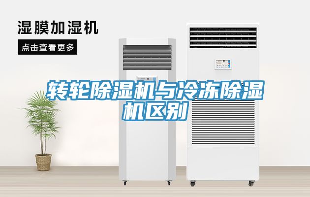 转轮91免费网站在线观看与冷冻91免费网站在线观看区别