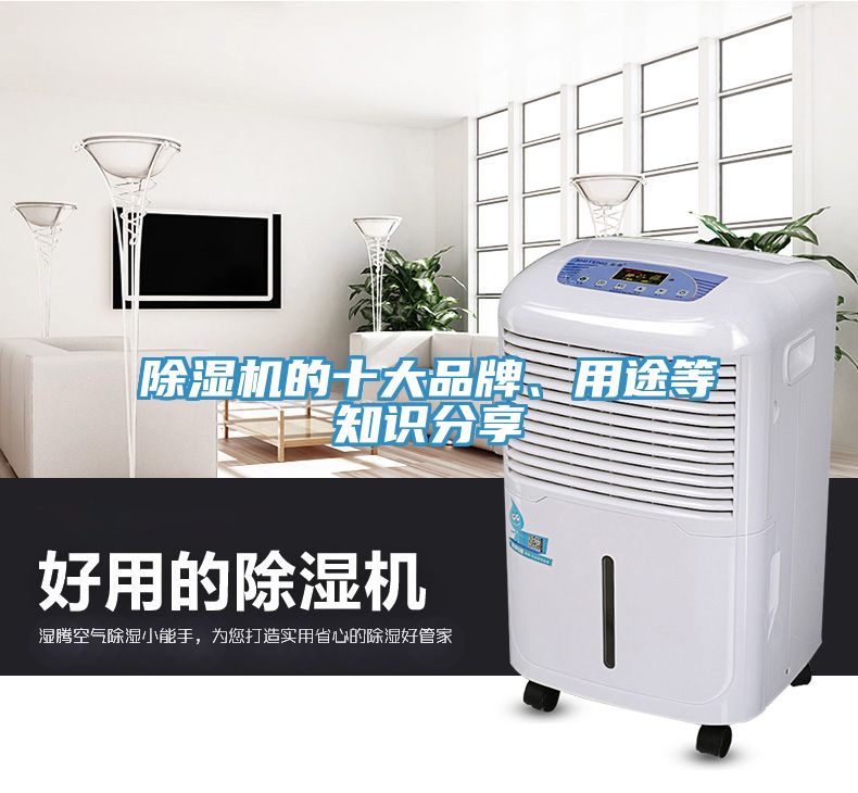 91免费网站在线观看的十大品牌、用途等知识分享