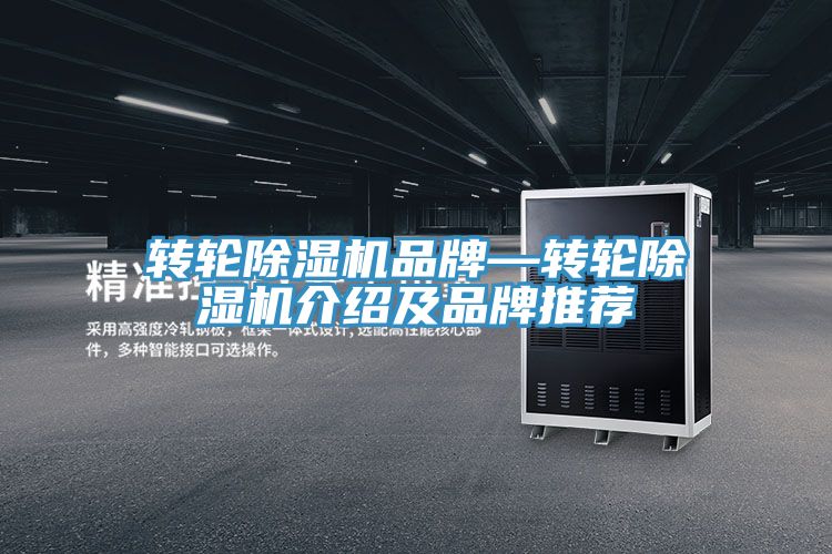 转轮91免费网站在线观看品牌—转轮91免费网站在线观看介绍及品牌推荐