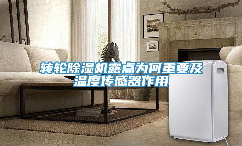 转轮91免费网站在线观看露点为何重要及温度传感器作用