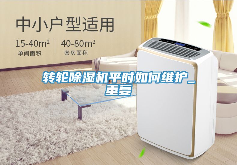 转轮91免费网站在线观看平时如何维护_重复