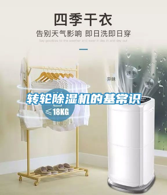 转轮91免费网站在线观看的基常识