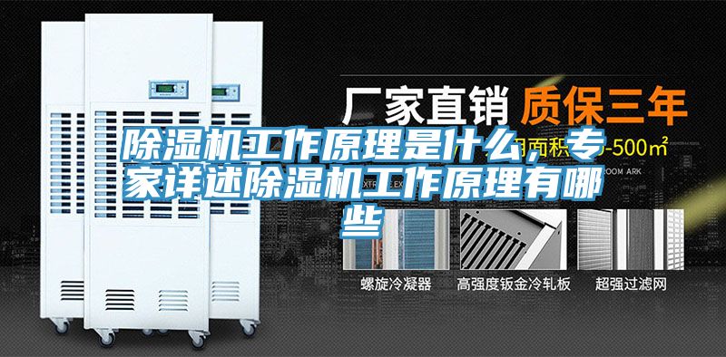 91免费网站在线观看工作原理是什么，专家详述91免费网站在线观看工作原理有哪些