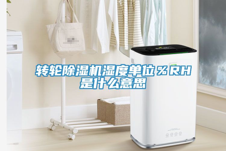 转轮91免费网站在线观看湿度单位％RH是什么意思