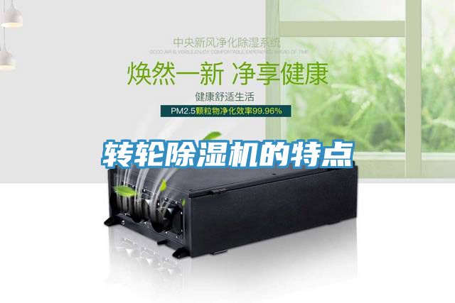 转轮91免费网站在线观看的特点