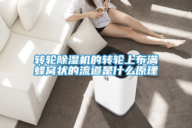 转轮91免费网站在线观看的转轮上布满蜂窝状的流道是什么原理