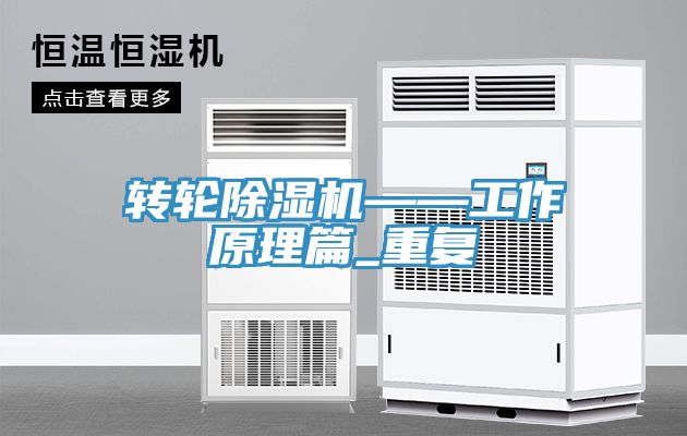 转轮91免费网站在线观看——工作原理篇_重复