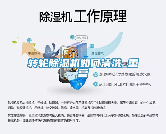 转轮91免费网站在线观看如何清洗_重复