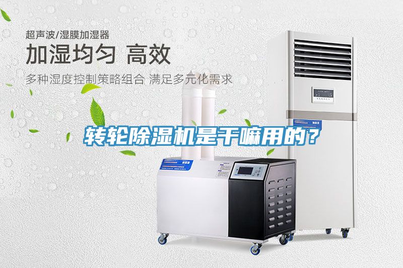 转轮91免费网站在线观看是干嘛用的？