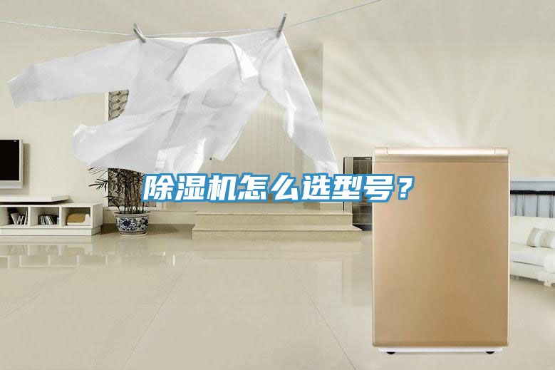 91免费网站在线观看怎么选型号？