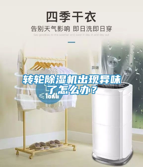转轮91免费网站在线观看出现异味了怎么办？