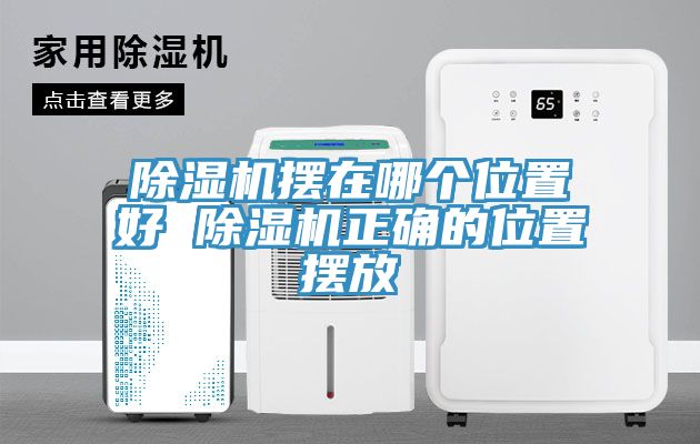 91免费网站在线观看摆在哪个位置好 91免费网站在线观看正确的位置摆放