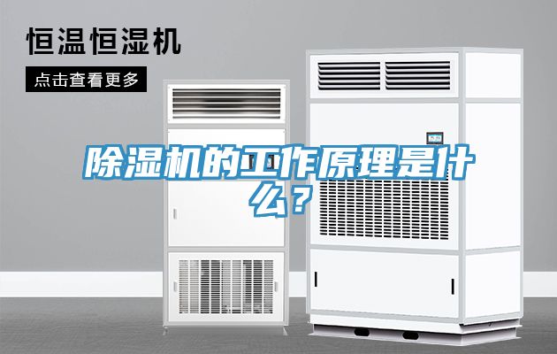 91免费网站在线观看的工作原理是什么？
