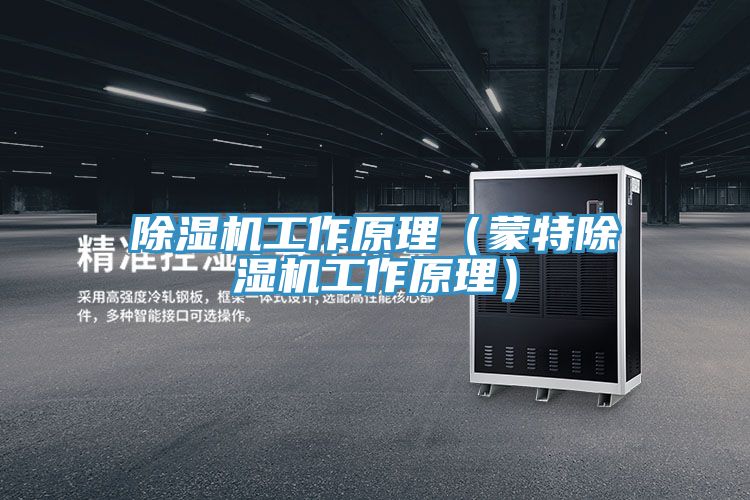 91免费网站在线观看工作原理（蒙特91免费网站在线观看工作原理）