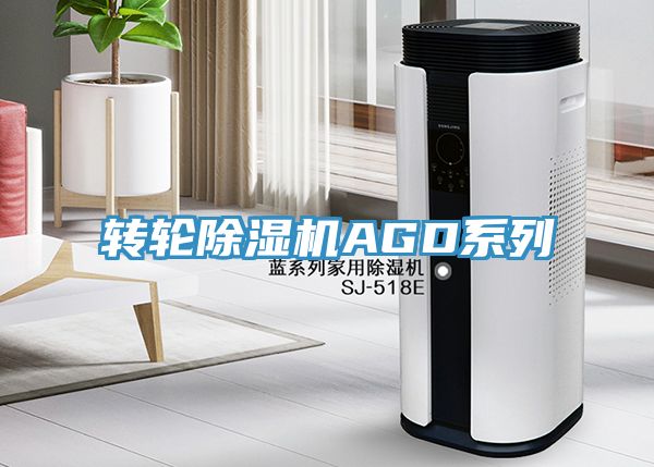 转轮91免费网站在线观看AGD系列