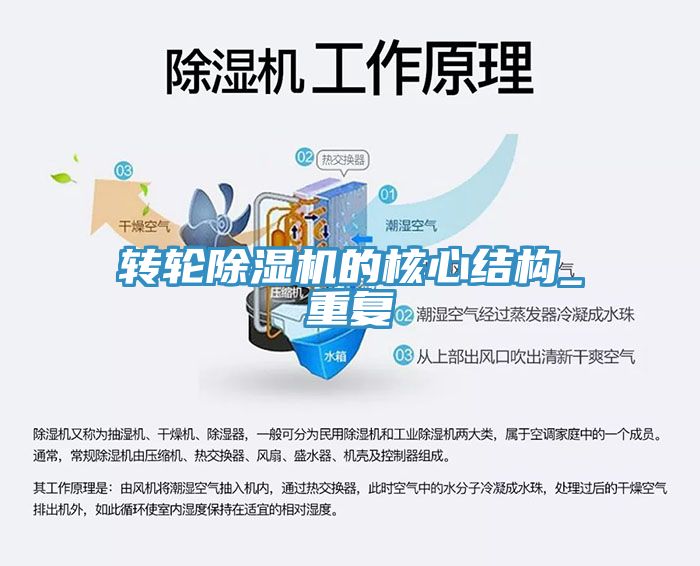 转轮91免费网站在线观看的核心结构_重复