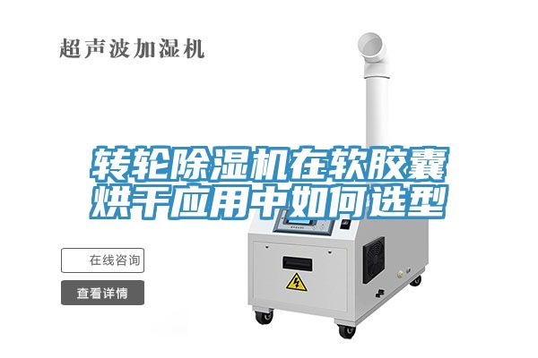 转轮91免费网站在线观看在软胶囊烘干应用中如何选型