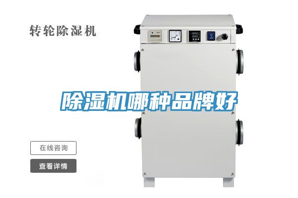 91免费网站在线观看哪种品牌好