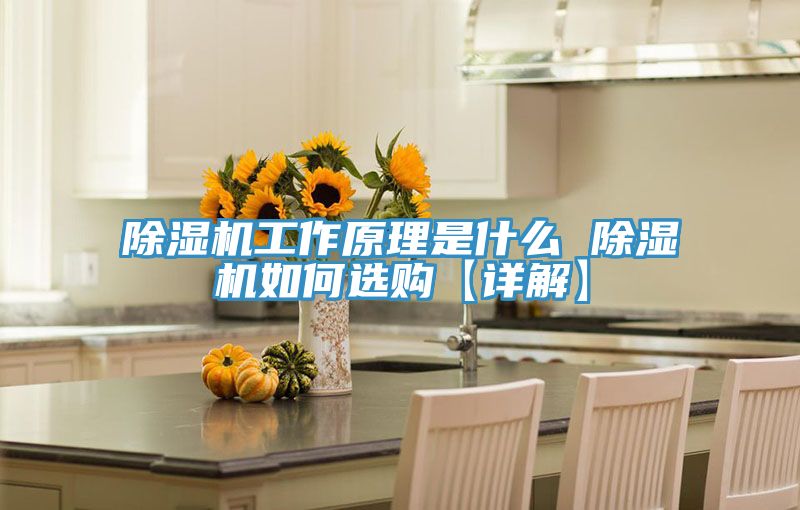 91免费网站在线观看工作原理是什么 91免费网站在线观看如何选购【详解】