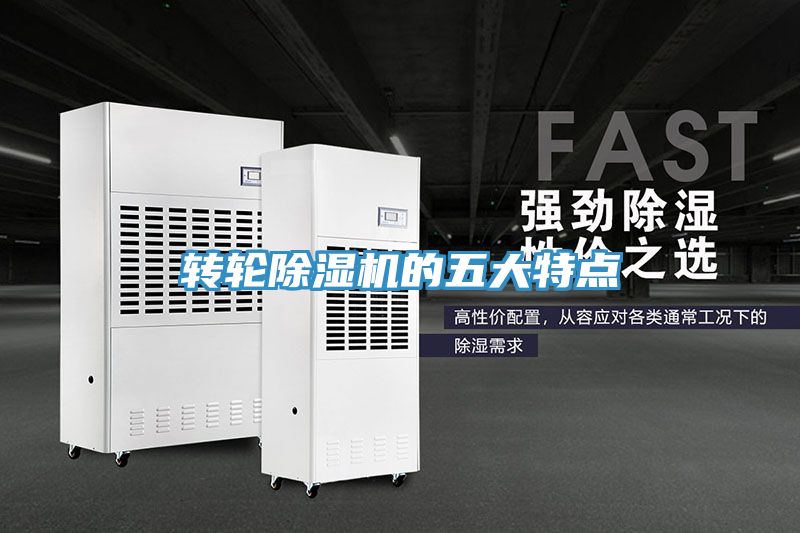 转轮91免费网站在线观看的五大特点