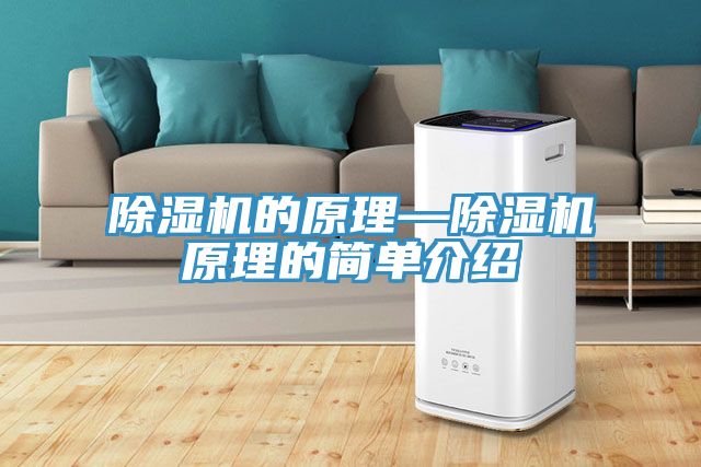 91免费网站在线观看的原理—91免费网站在线观看原理的简单介绍
