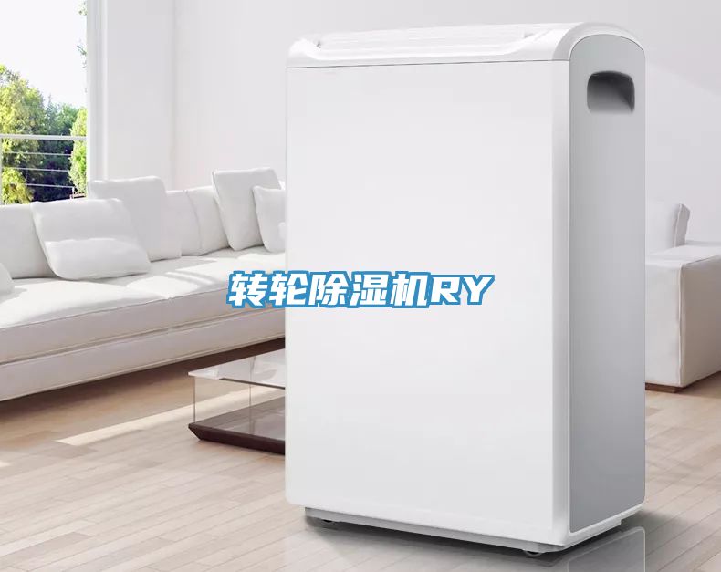 转轮91免费网站在线观看RY