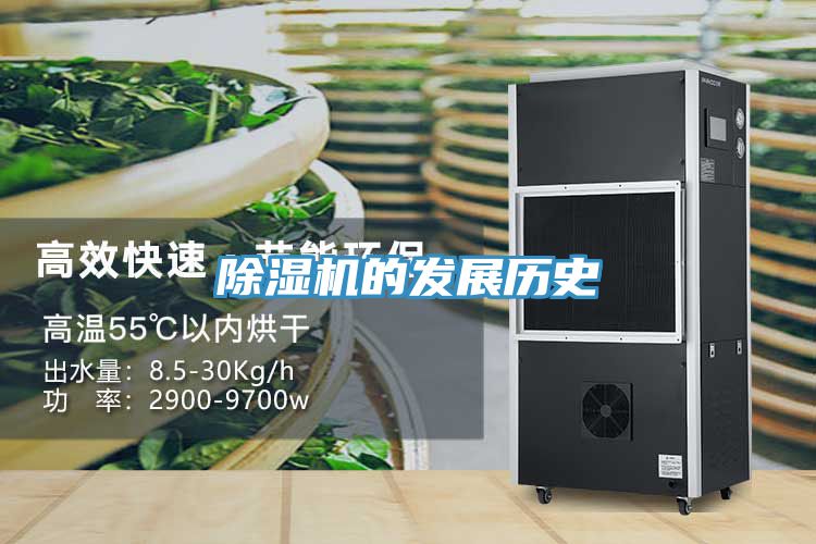 91免费网站在线观看的发展历史