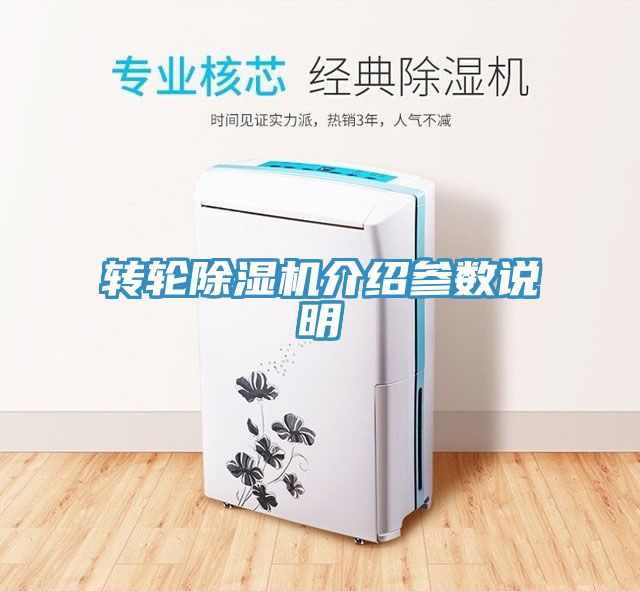 转轮91免费网站在线观看介绍参数说明