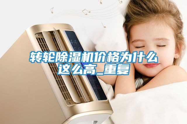 转轮91免费网站在线观看价格为什么这么高_重复